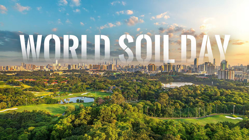 YDHPFL8Z4O7G6J82EY0X - 🌍NewspaperAmigo – Your Global News Buddy 🗞️ 🌱 World Soil Day 2025: Cities Dig Into Healthy Soil Solutions