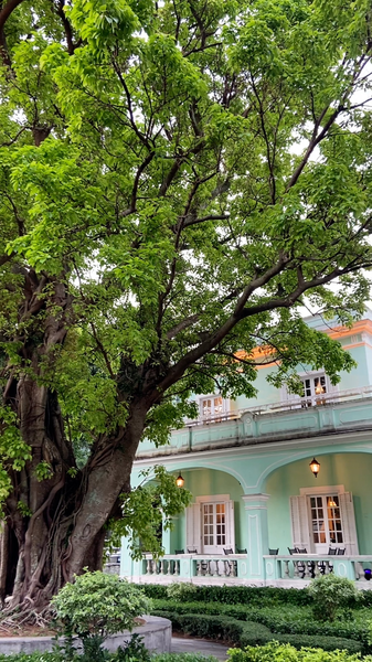 Taipa Houses: Macao's Cultural Gem Shines in 2025 🌉✨ video poster