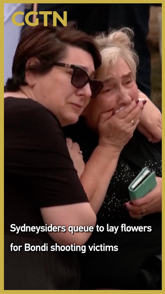 Sydney Mourns Bondi Hanukkah Shooting Victims 🌹 video poster