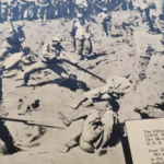 New Nanjing Massacre Evidence Unveiled on 88th Anniversary 🕊️