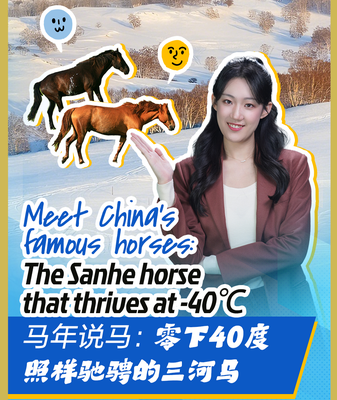 ❄️🐎 China's Sanhe Horses: Thriving at -40℃ Like Winter Warriors video poster