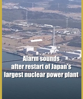 Alarm Halts Restarted Japan Nuclear Plant: Safety in Focus 🚨⚡ video poster