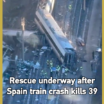 0D8PCCH4MKIJWK53AXHE - 🌍NewspaperAmigo – Your Global News Buddy 🗞️ Spain Train Crash Kills 39, Rescue Ops Continue 🚨 video poster