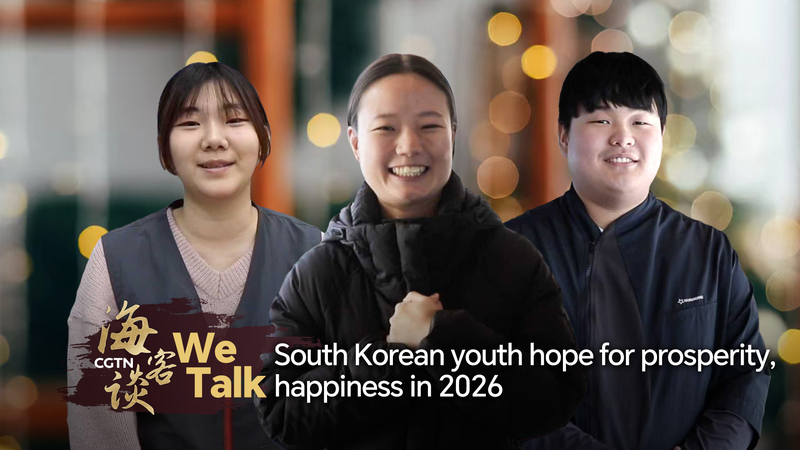 South Korean Youth Share 2026 Hopes: Prosperity, Family & Joy 🌟 video poster