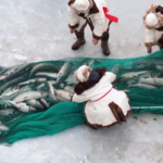 ❄️ Bosten Lake Winter Festival Blends Ice Fishing & Snowy Thrills video poster