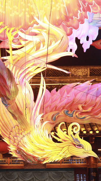 1RL4ZDCC2VKQORMXJMZF - 🌍NewspaperAmigo – Your Global News Buddy 🗞️ Nanjing’s Confucius Temple Lights Up 2026 with Dazzling Lantern Display 🌟🏮 video poster