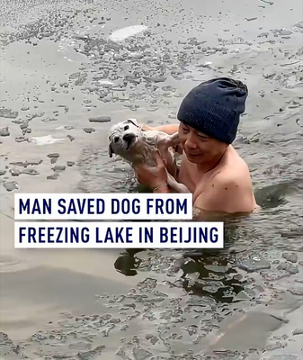 Heroic Rescue in Beijing: Man Saves Dog from Freezing Lake ❄️🐶 video poster