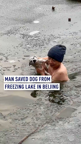 Heroic Rescue in Beijing: Man Saves Dog from Freezing Lake ❄️🐶 video poster