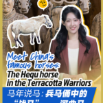 Meet China's Hequ Horses: The Hidden Stars of the Terracotta Army 🐎✨ video poster