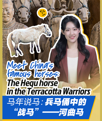 Meet China's Hequ Horses: The Hidden Stars of the Terracotta Army 🐎✨ video poster