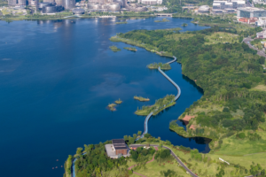 China's Green Leap: 2025 Eco Progress Revealed 🌱📉