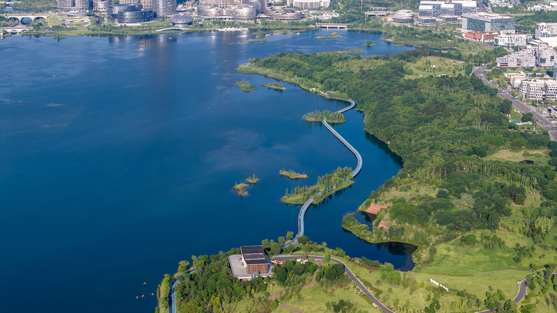 China's Green Leap: 2025 Eco Progress Revealed 🌱📉