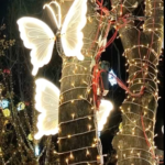 ❄️ Beijing's Shougang Park Unveils Magical Winter Wonderland for 2026! video poster