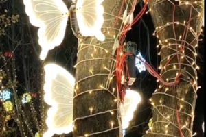 ❄️ Beijing's Shougang Park Unveils Magical Winter Wonderland for 2026! video poster