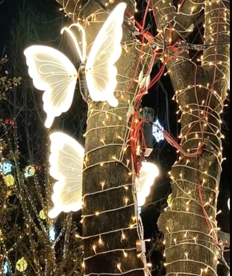 ❄️ Beijing's Shougang Park Unveils Magical Winter Wonderland for 2026! video poster