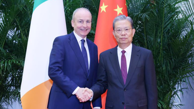 China and Ireland Strengthen Ties in High-Level Beijing Talks 🌏🤝