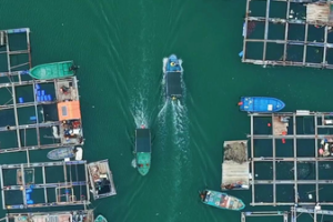 🌊 Discover Hainan’s Floating Villages: A Dive into Danjia Culture video poster