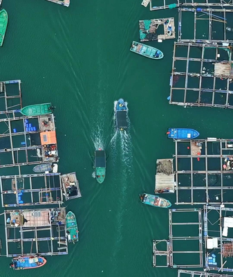 🌊 Discover Hainan’s Floating Villages: A Dive into Danjia Culture video poster