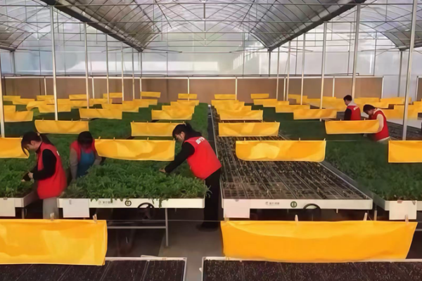 Gen Z Revives Rural China With Smart Farming 🌱💡