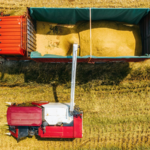 China Unveils 2026 Rural Revamp: Poverty Aid Meets Tech-Driven Farming 🌾💡 video poster