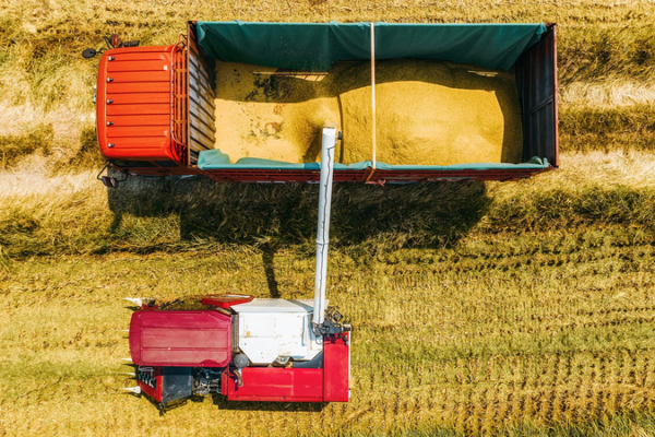 China Unveils 2026 Rural Revamp: Poverty Aid Meets Tech-Driven Farming 🌾💡 video poster