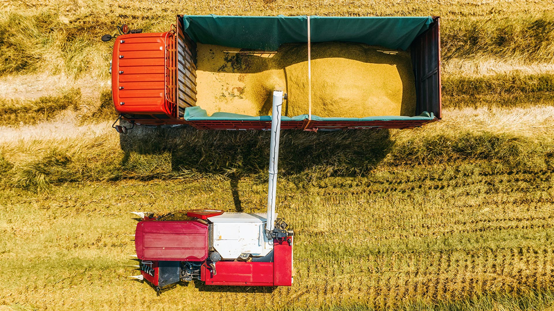 China Unveils 2026 Rural Revamp: Poverty Aid Meets Tech-Driven Farming 🌾💡 video poster