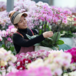 Blooming Business: Shandong’s New Year Flowers Fuel Economic Growth 🌸💼