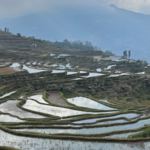 Glamping in Honghe: Where Ancient Villages Meet Modern Luxury 🌄✨