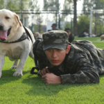 🐾 'Year of the Dog' Pounces Into Theaters This Valentine's Day