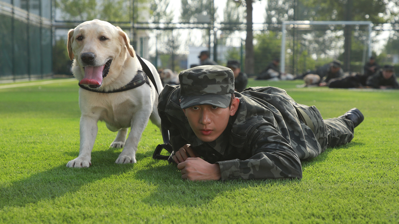 🐾 'Year of the Dog' Pounces Into Theaters This Valentine's Day