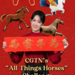 Gallop into 2026: Join CGTN’s Year of the Horse Challenge 🐎✨ video poster