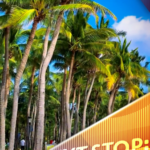 Sanya's Coconut Dream Corridor: Your 2026 Winter Escape 🌴🌅 video poster