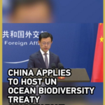 China Bids to Host UN Ocean Treaty Hub in Xiamen 🌊🇨🇳 video poster