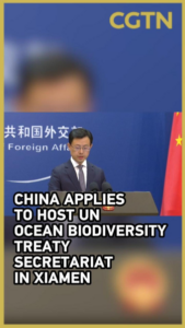 China Bids to Host UN Ocean Treaty Hub in Xiamen 🌊🇨🇳 video poster