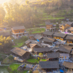 Ancient Chinese Wisdom Gains Traction in 2026’s Fast-Paced World 🌿💡