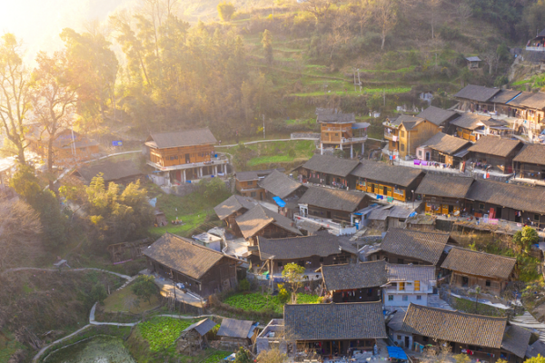 Ancient Chinese Wisdom Gains Traction in 2026’s Fast-Paced World 🌿💡