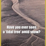 BXRFGHPGX2LY6YXLAC3V - 🌍NewspaperAmigo – Your Global News Buddy 🗞️ Snow Meets Sea: Qiantang River’s ‘Tidal Trees’ Stun in 2026 Winter 🌊❄️ video poster