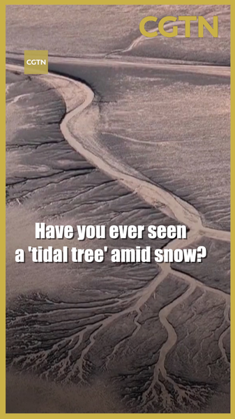 Snow Meets Sea: Qiantang River’s ‘Tidal Trees’ Stun in 2026 Winter 🌊❄️ video poster