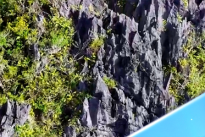 🌴 Xian'an Stone Forest: Hainan's Hidden Karst Gem Blends Nature & Culture video poster