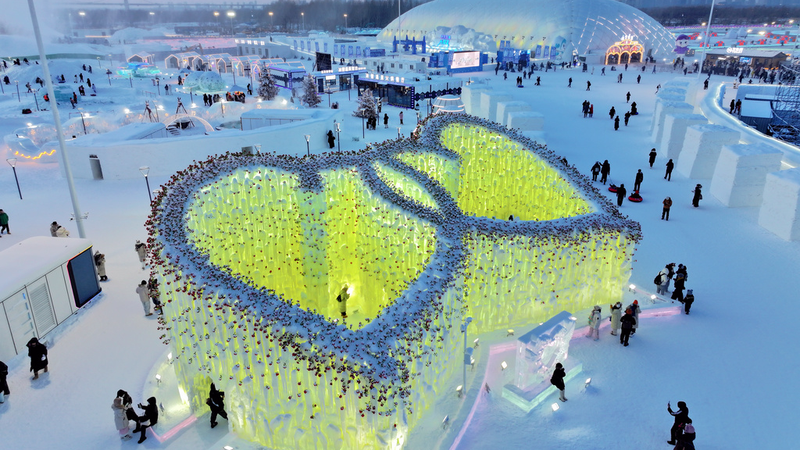 C9MPMNSJXM479E15TTJO - 🌍NewspaperAmigo – Your Global News Buddy 🗞️ Harbin's 'Rose Icefall' Lights Up Winter with Frozen Romance ❄️🌹