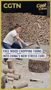 China’s New Stress Cure? Free Wood-Chopping Goes Viral in 2026 🌲💥 video poster