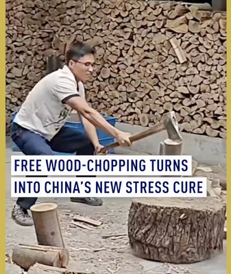 China’s New Stress Cure? Free Wood-Chopping Goes Viral in 2026 🌲💥 video poster