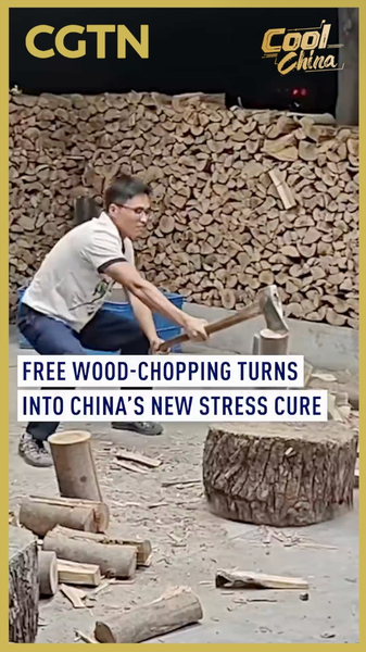 China’s New Stress Cure? Free Wood-Chopping Goes Viral in 2026 🌲💥 video poster