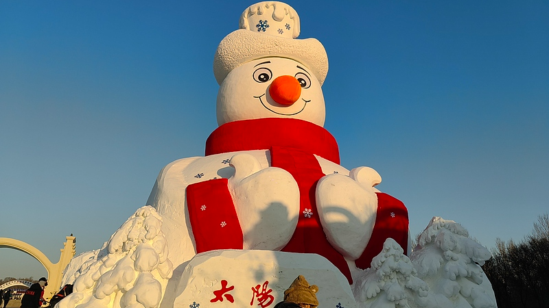 Harbin’s Snow Sculpture Expo Wows Visitors in 2026 ❄️🎨 video poster
