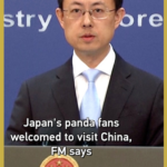 China Invites Japanese Panda Fans as Duo Prepares for Homecoming 🐼✈️ video poster