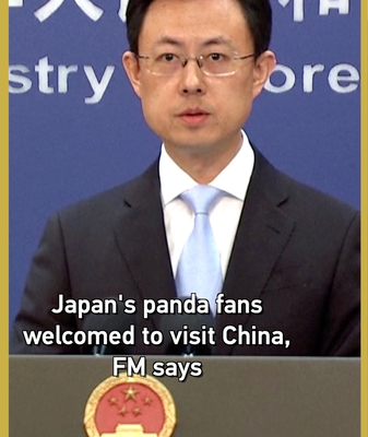 China Invites Japanese Panda Fans as Duo Prepares for Homecoming 🐼✈️ video poster