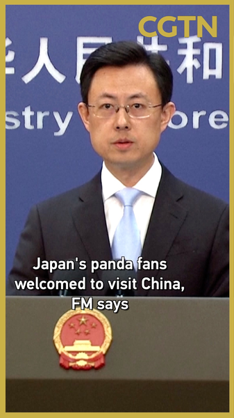 China Invites Japanese Panda Fans as Duo Prepares for Homecoming 🐼✈️ video poster