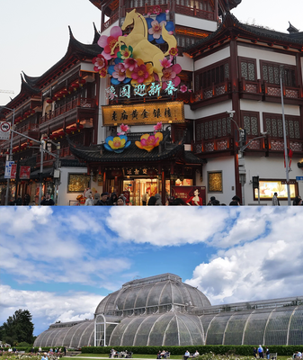 East Meets West: Yuyuan & Kew Gardens Bridge Cultures 🌿🏯 vs. 🔬🌺 video poster
