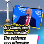 China's Wind Power Surge Debunks Trump's Claim 🌬️🇨🇳 video poster