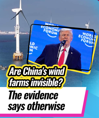 China's Wind Power Surge Debunks Trump's Claim 🌬️🇨🇳 video poster
